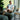 Modora™ Chair