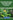 Advancing Precision Agriculture With AI and IoT