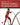 Manual Structural Kinesiology