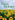 Plant Biology