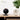 Alternate-Image1 Image for Logitech Indoor HD Network Camera - Graphite