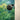 Life-Style Image for Logitech Indoor HD Network Camera - Graphite