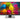 Alternate-Image5 Image for Asus ProArt PA248QV 24" Class WUXGA LCD Monitor - 16:10 - Black