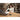 Alternate-Image9 Image for AVerMedia AS311 Speakerphone - TAA and NDAA Compliant