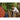 Alternate-Image11 Image for Logitech Rugged Folio Rugged Keyboard/Cover Case (Folio) for 10.9" Apple, Logitech iPad (10th Generation & A16) Tablet - Graphite