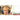 Life-Style Image for Logitech Zone Learn Wired Headsets for Learners