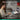 Alternate-Image5 Image for Logitech Wave Keys Keyboard