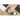 Alternate-Image6 Image for Logitech M340 Wireless Mouse with Limited Edition Prints, USB Receiver and Silent Clicks, Portable Wireless Mouse for Laptop, PC, Windows, Chrome, Surface, Sheer Dream