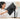 Alternate-Image9 Image for Asus ZenScreen MB27ACF 27" Class WQHD LED Monitor - 16:9