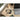 Alternate-Image3 Image for Jabra Evolve2 30 SE Headset
