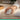 Alternate-Image4 Image for Logitech Signature Comfort Plus M850 L Wireless Mouse, Bluetooth Mouse with Palm Cushion, Silent Clicks, Off-white