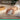 Alternate-Image12 Image for Logitech Signature Comfort Plus Combo MK880 Wireless Keyboard and Mouse Combo, Full-Size Comfort Keyboard with Palm Rest, Off-white