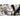 Alternate-Image16 Image for Microsoft Surface Pro (12th Edition) Copilot+ PC Tablet - 13" - vPro Technology - 16 GB - 1 TB SSD - Windows 11 Pro - Platinum - 1 - TAA Compliant