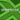 Acoustica Mixcraft 10.6 Recording Studio (Download)